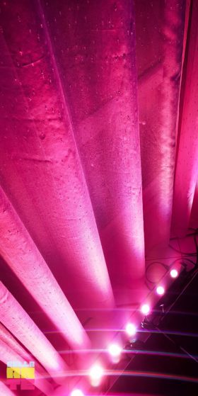 Bella-arte dekoracja światłem na wesele